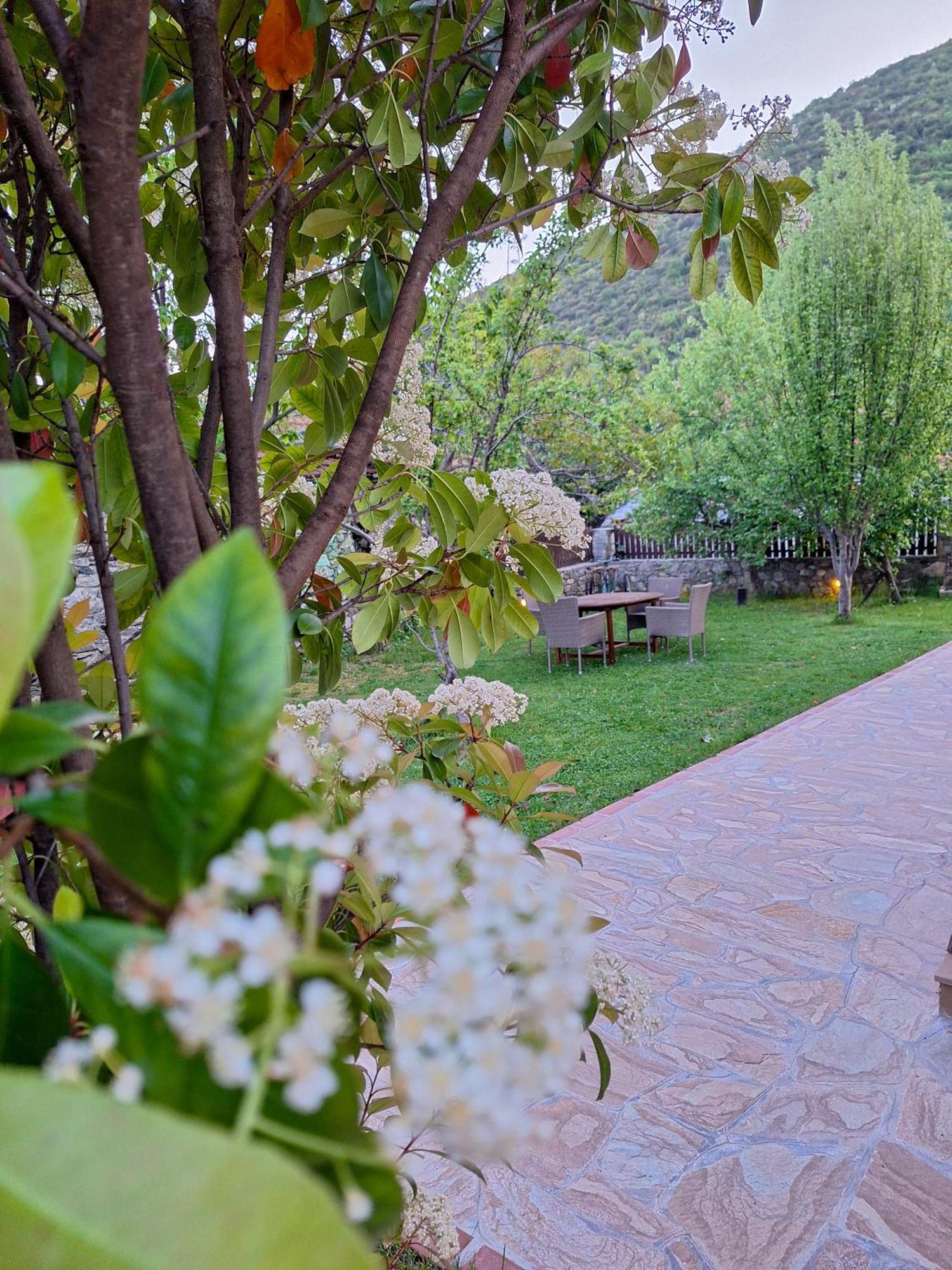 Country House On Mount Olympus Karia  Екстер'єр фото