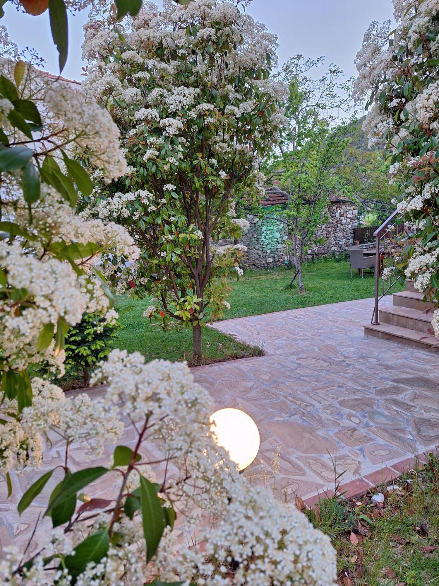 Country House On Mount Olympus Karia  Екстер'єр фото